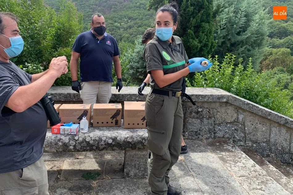 Foto 2 - Cinco cern&iacute;calos primilla son devueltos a la naturaleza en Monte Mario
