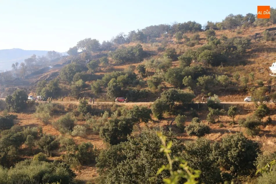 Foto 8 - Gran despliegue de medios para sofocar un incendio declarado en el t&eacute;rmino de Saucelle&nbsp;