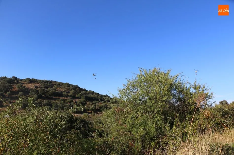 Foto 6 - Gran despliegue de medios para sofocar un incendio declarado en el t&eacute;rmino de Saucelle&nbsp;