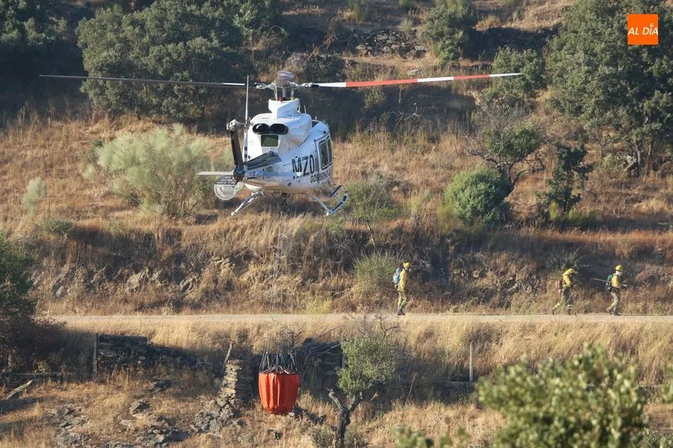 Foto 2 - Gran despliegue de medios para sofocar un incendio declarado en el t&eacute;rmino de Saucelle&nbsp;