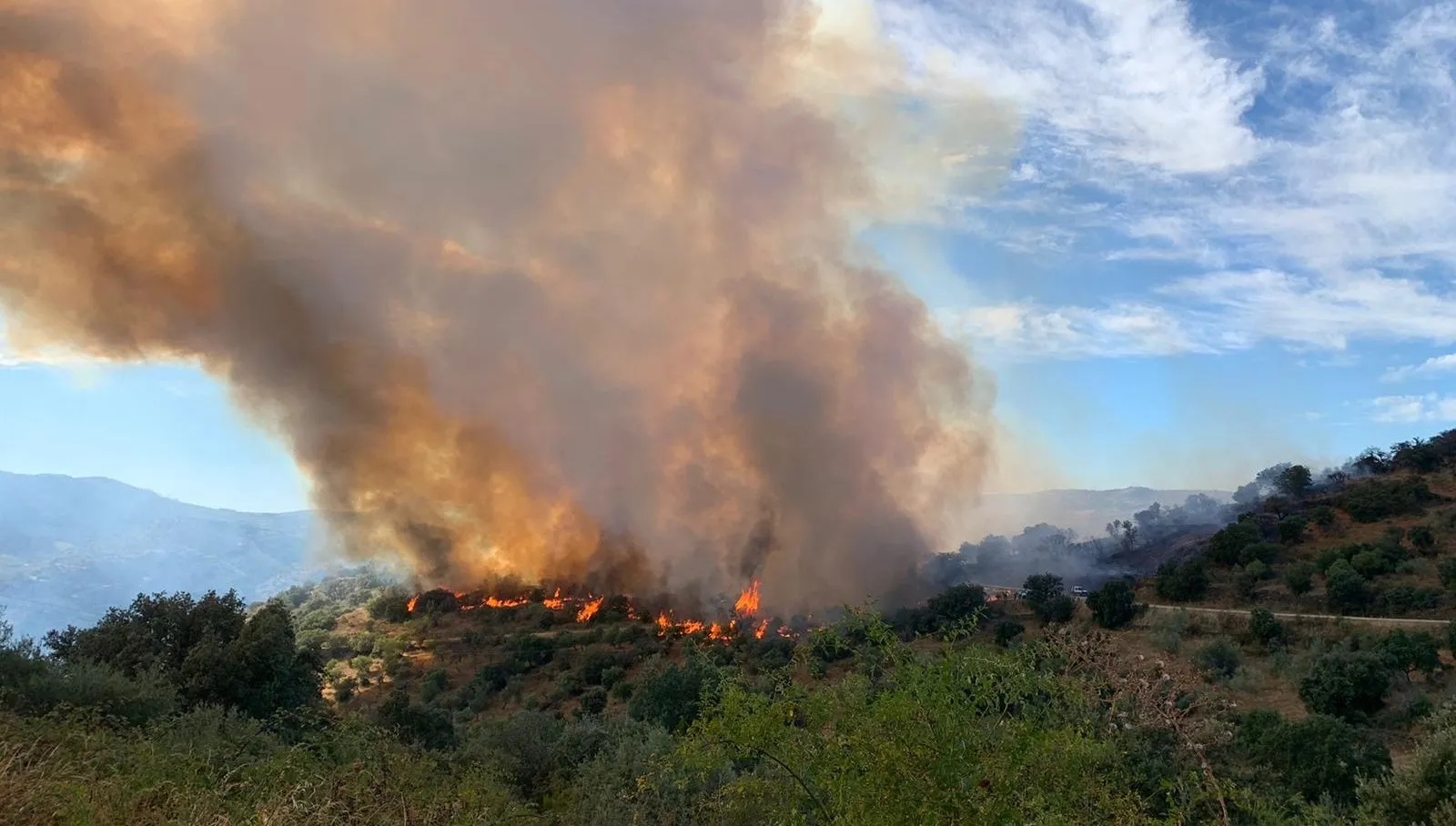 Foto 2 - La Junta cifra en casi 20 hect&aacute;reas la superficie calcinada en el incendio en el Parque Natural...