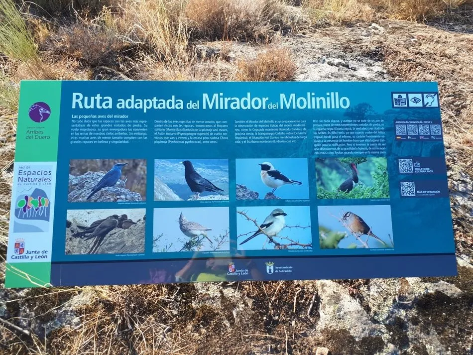 Foto 2 - Arribes del r&iacute;o &Aacute;gueda vistas desde el Mirador del Molinillo en Sobradillo  