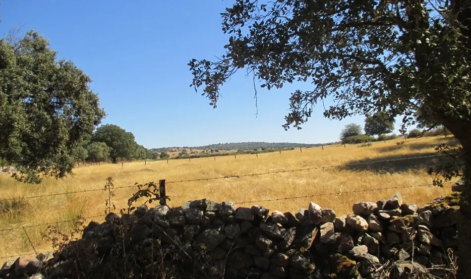 Valle del Lagar (Pedrotoro)