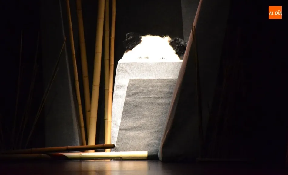 Foto 3 - Baobab Teatro, triunfadora en 2015, retorna de nuevo para contar la historia del &uacute;ltimo oso panda  