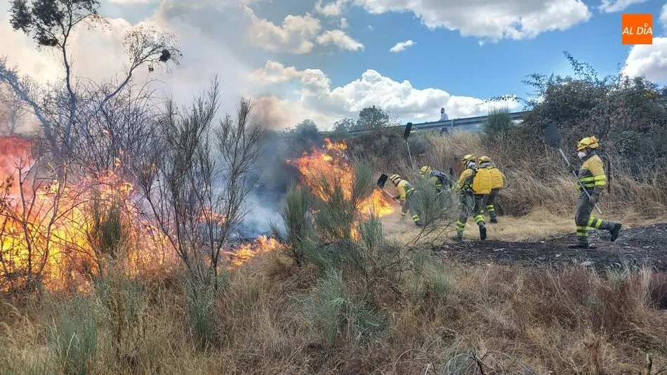Incendio en el término municipal de San Felices de los Gallegos en la zona de La Granja / FOTOS: MANUEL NICOLÁS BOGAZ