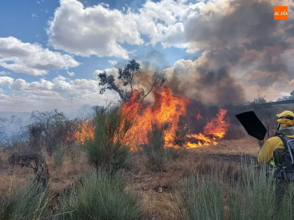 Foto 8 - Medios a&eacute;reos y terrestres luchan contra varios incendios en El Abadengo  