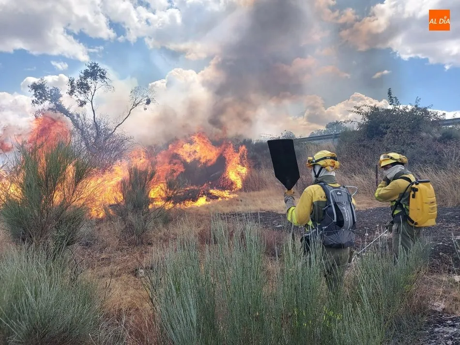 Foto 7 - Medios a&eacute;reos y terrestres luchan contra varios incendios en El Abadengo  