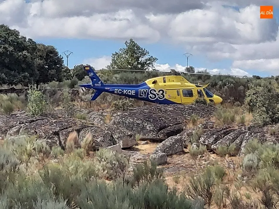 Foto 6 - Medios a&eacute;reos y terrestres luchan contra varios incendios en El Abadengo  