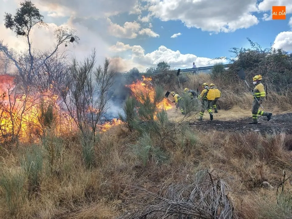 Foto 5 - Medios a&eacute;reos y terrestres luchan contra varios incendios en El Abadengo  