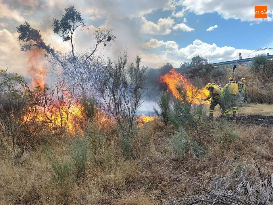 Foto 4 - Medios a&eacute;reos y terrestres luchan contra varios incendios en El Abadengo  