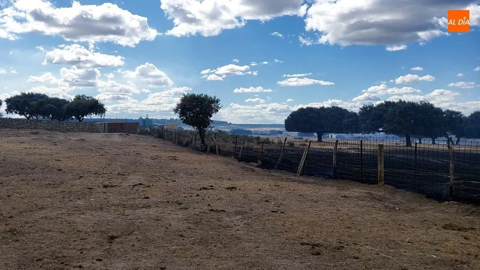 Foto 11 - Controlados los incendios de Ba&ntilde;ob&aacute;rez y Bermellar cuyas causas est&aacute;n por determinar