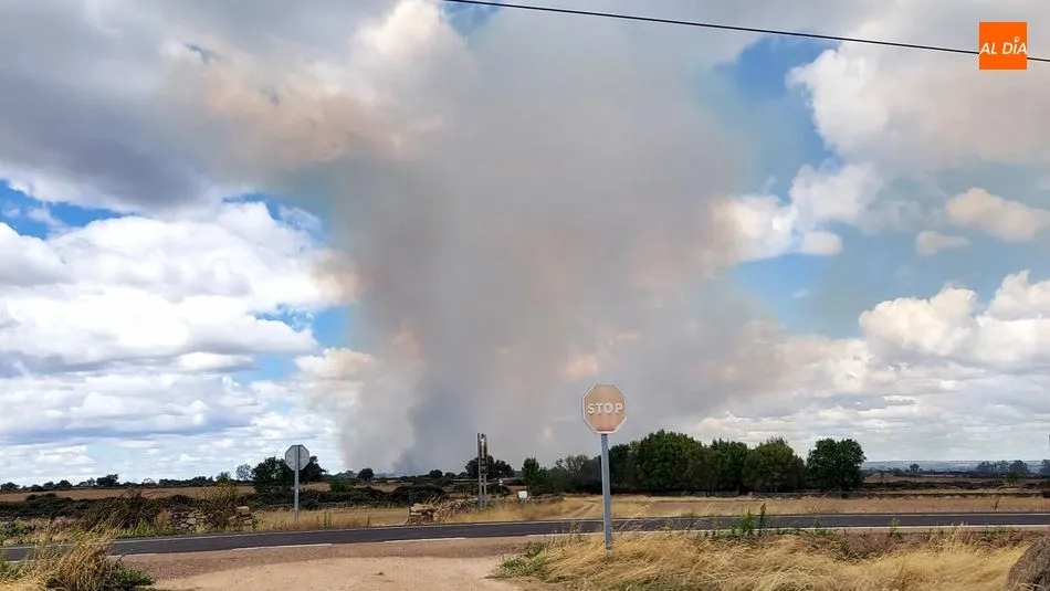 Foto 7 - Controlados los incendios de Ba&ntilde;ob&aacute;rez y Bermellar cuyas causas est&aacute;n por determinar