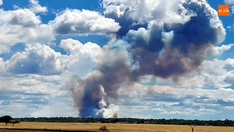 Foto 4 - Controlados los incendios de Ba&ntilde;ob&aacute;rez y Bermellar cuyas causas est&aacute;n por determinar