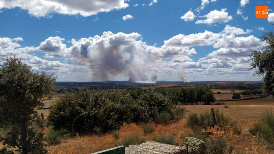 Foto 3 - Controlados los incendios de Ba&ntilde;ob&aacute;rez y Bermellar cuyas causas est&aacute;n por determinar