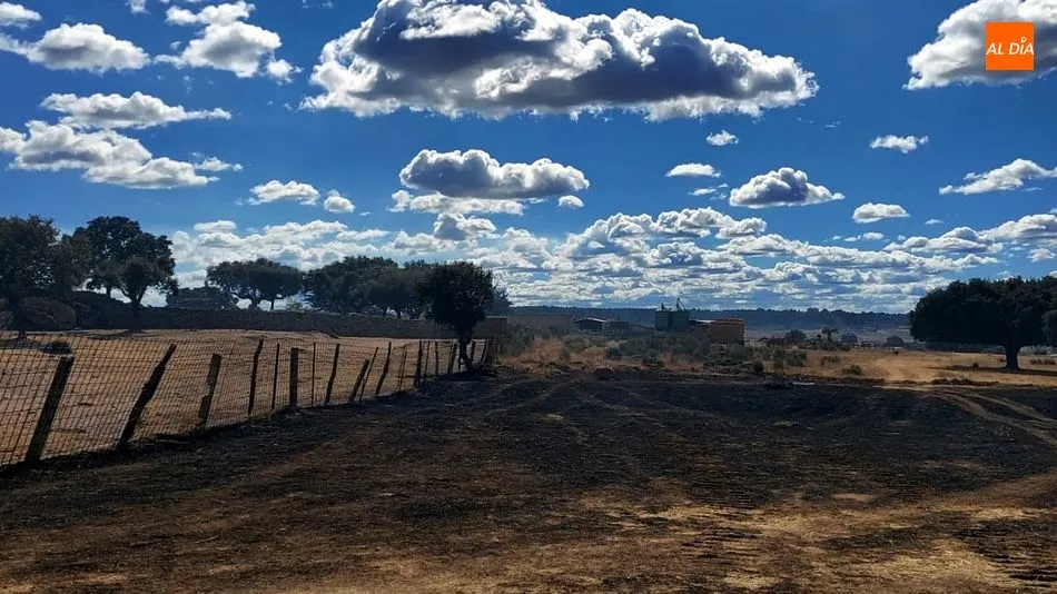 Así han quedado los pastos en la finca de Balborraz