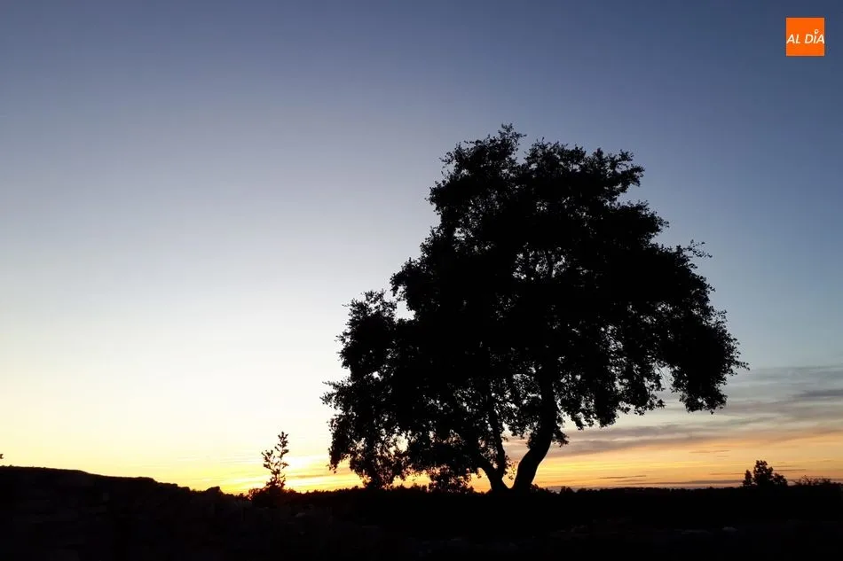Foto 2 - Atardecer de luces y sombras en Lumbrales  