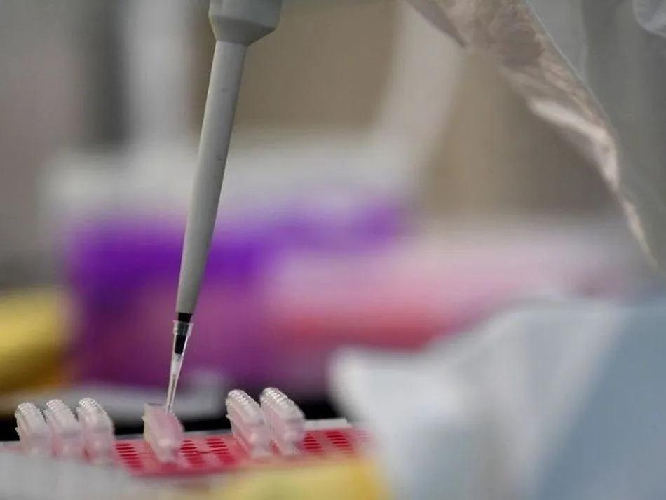 Sanitario realizando pruebas de detección de Covid-19 - Archivo