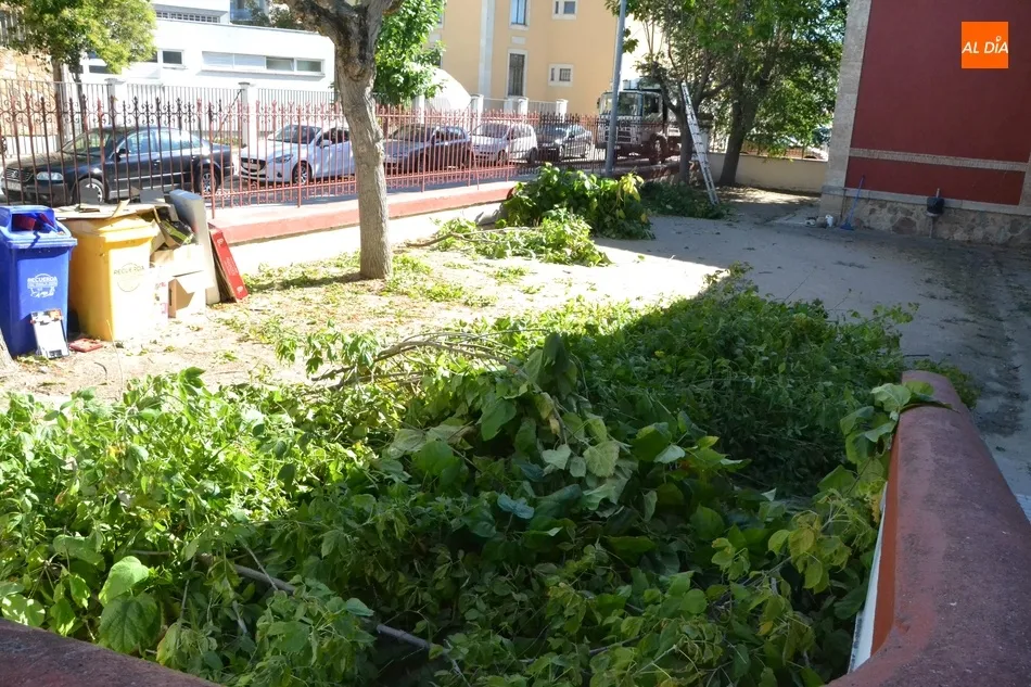 Foto 3 - Presentadas las reformas realizadas en los colegios, que ver&aacute;n reforzado su personal de limpieza  