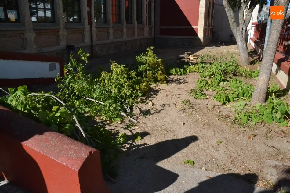 Foto 4 - Presentadas las reformas realizadas en los colegios, que ver&aacute;n reforzado su personal de limpieza  