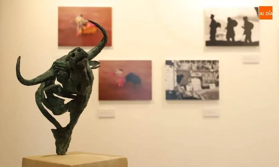 Algunas de las piezas que se pueden ver en la Sala de la Salina. Foto de Lydia González