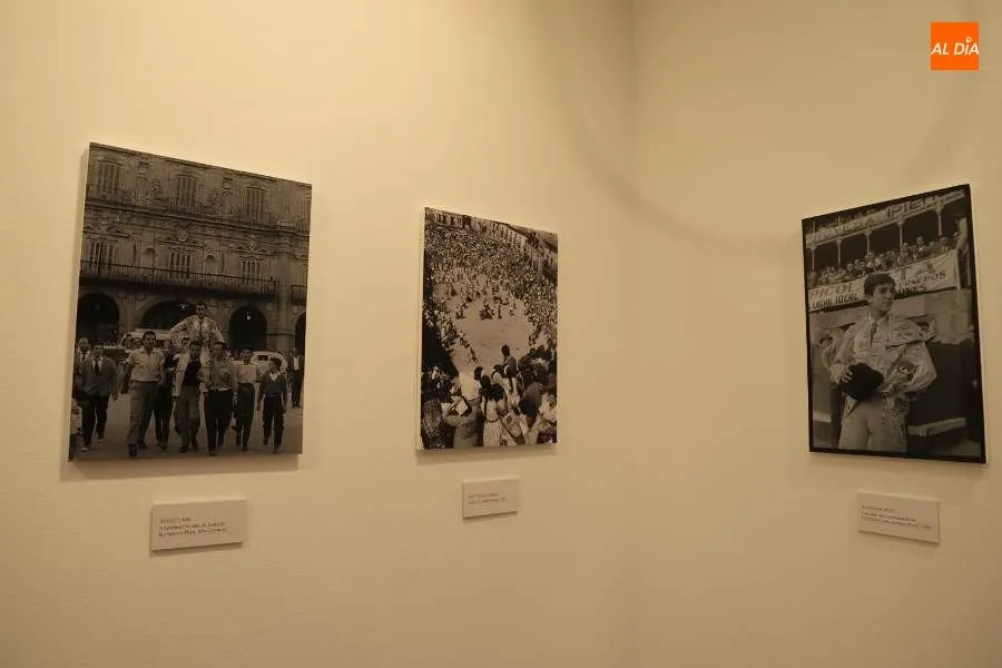Foto 8 - &lsquo;Salamanca y el toro&rsquo;, una exposici&oacute;n para celebrar el 35 aniversario de la Escuela de...