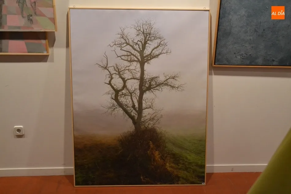 Foto 8 - Los 3.000&euro; de Premio del 36&ordm; Certamen de Artes Pl&aacute;sticas &lsquo;Celso Lagar&rsquo; se van para...