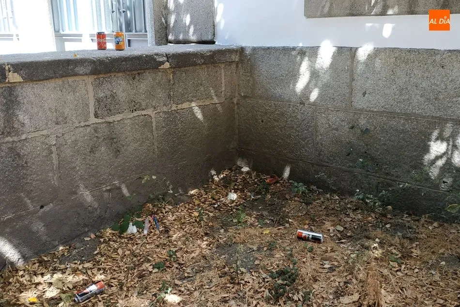 Foto 10 - La falta de mantenimiento y limpieza de la ciudad suscita las quejas de los ciudadanos de B&eacute;jar