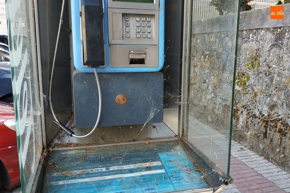 Foto 5 - La falta de mantenimiento y limpieza de la ciudad suscita las quejas de los ciudadanos de B&eacute;jar