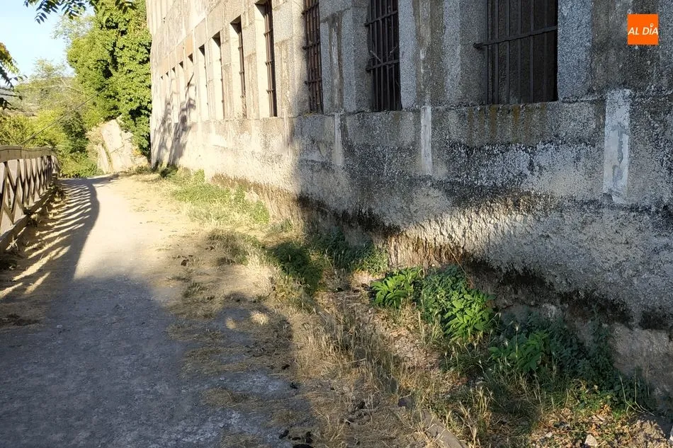 Foto 7 - La falta de mantenimiento y limpieza de la ciudad suscita las quejas de los ciudadanos de B&eacute;jar