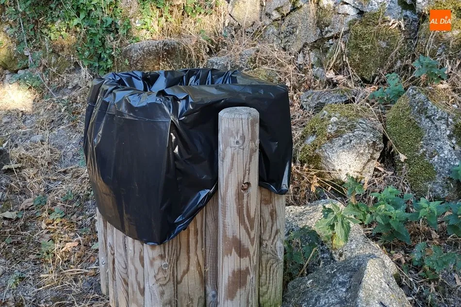 Foto 11 - La falta de mantenimiento y limpieza de la ciudad suscita las quejas de los ciudadanos de B&eacute;jar