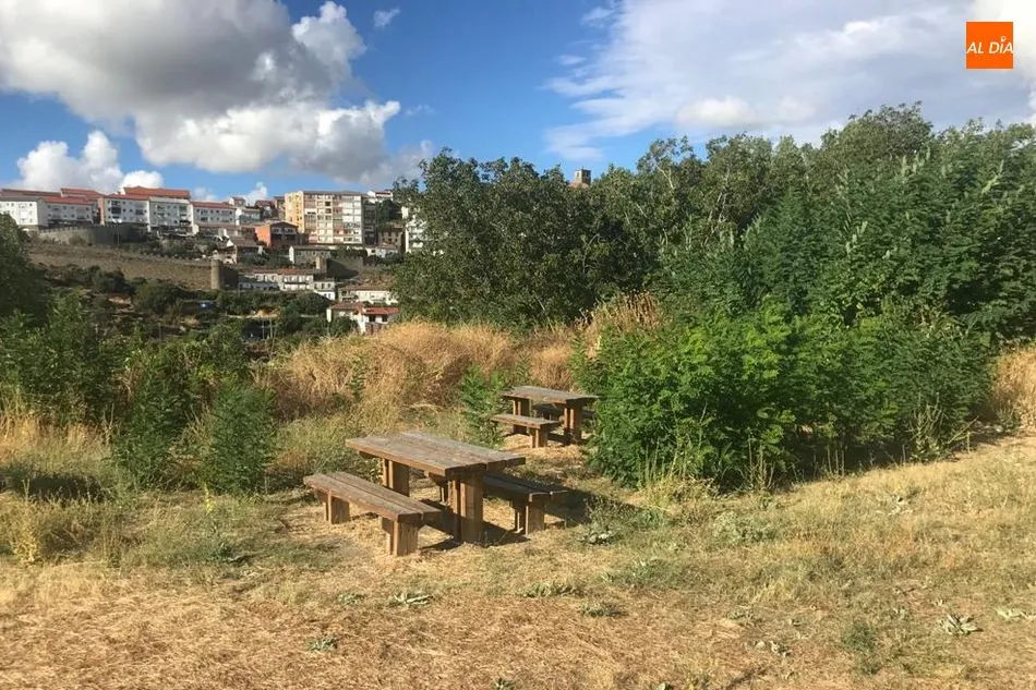 Foto 9 - La falta de mantenimiento y limpieza de la ciudad suscita las quejas de los ciudadanos de B&eacute;jar