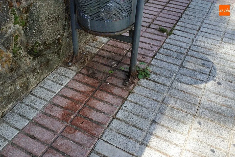 Foto 2 - La falta de mantenimiento y limpieza de la ciudad suscita las quejas de los ciudadanos de B&eacute;jar