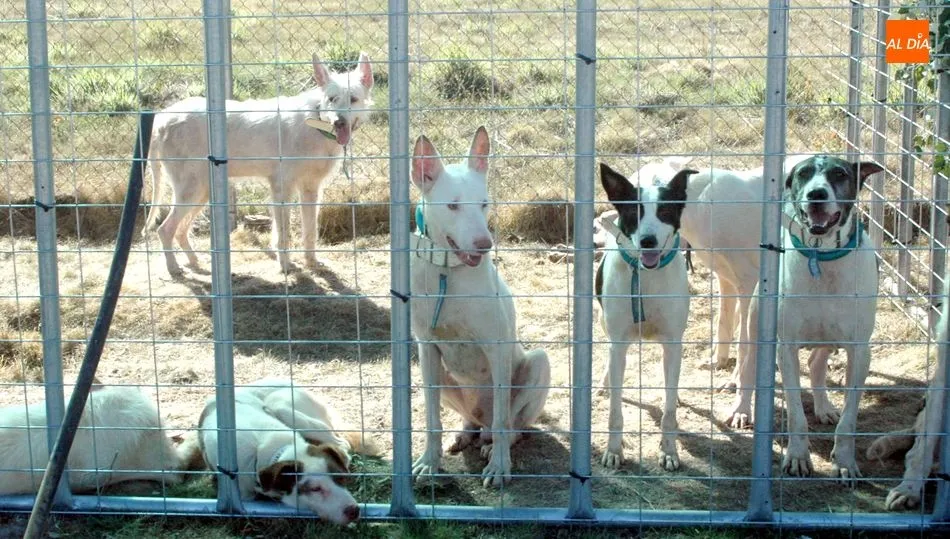 Los rehaleros son los principales afectados por el nuevo Real Decreto para la gestión de núcleos zoológicos