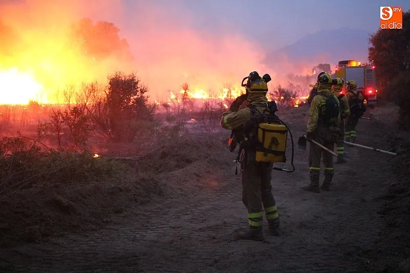 Se trata de evitar más incendios forestales - Archivo