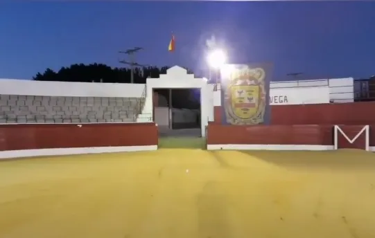 Foto 2 - El Ayuntamiento de Villoria muestra los cuatro novillos que hubieran reunido a los mejores...