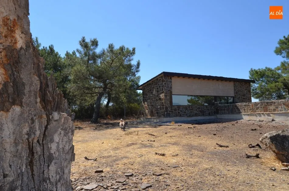 Foto 2 - El centro de recuperaci&oacute;n de fauna salvaje de Salamanca libera un buitre leonado en Lagunilla