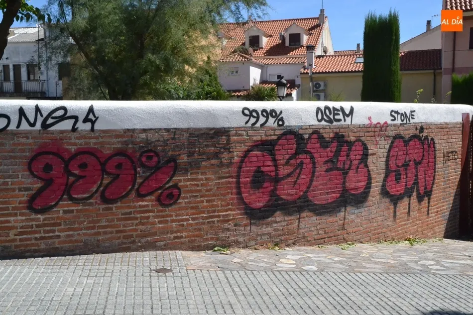 Foto 4 - Los toriles de San Pelayo sufren un ataque grafitero  