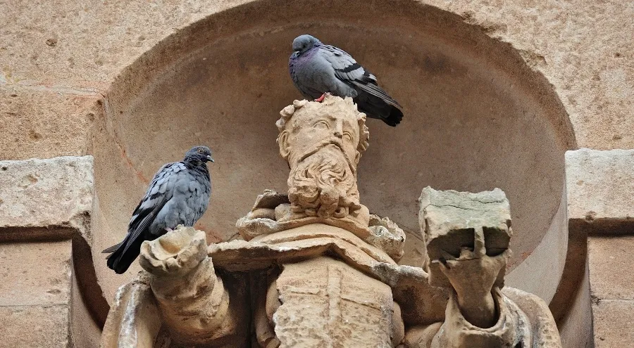 Patrimonio ‘okupado’