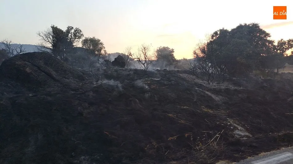 Foto 2 - El incendio de Trabanca consumi&oacute; 37 hect&aacute;reas y el de Guijo de &Aacute;vila 10
