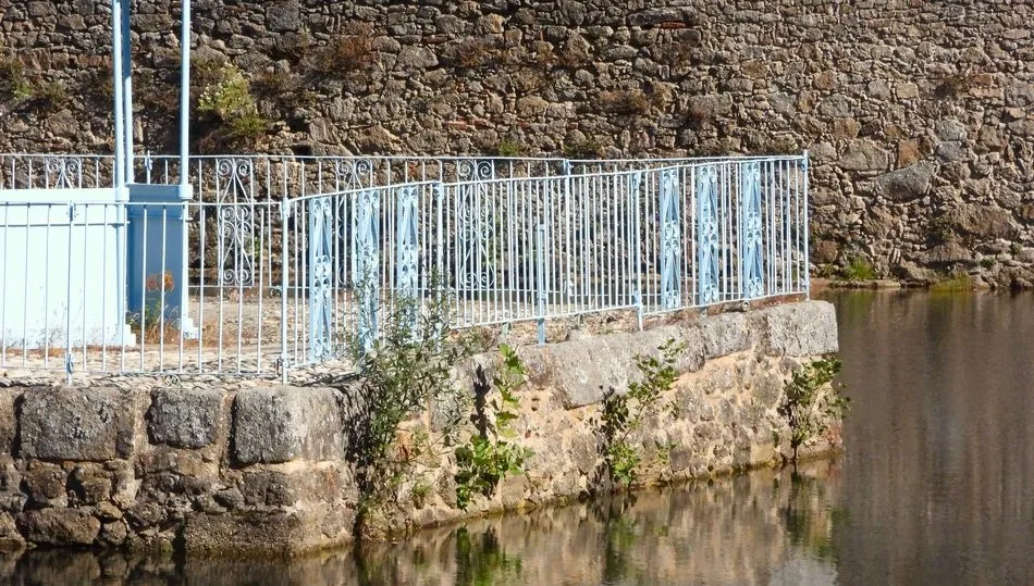 FOTO 5. Vista de la maleza en el Templete de El Bosque y en el muro perimetral del estanque