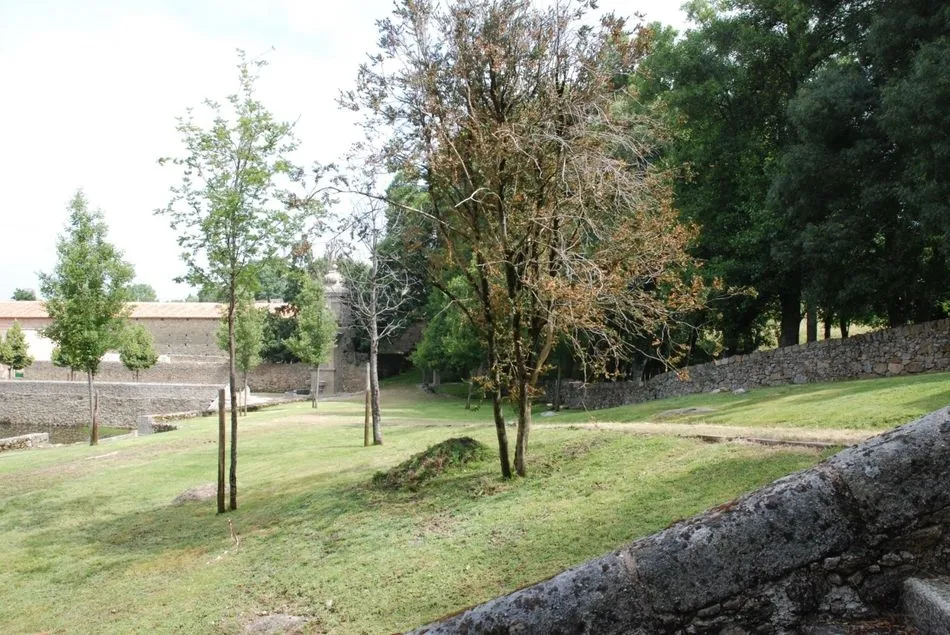 Foto 7 - La PDBB denuncia la falta de mantenimiento en la villa renacentista de El Bosque