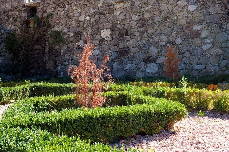 Foto 8 - La PDBB denuncia la falta de mantenimiento en la villa renacentista de El Bosque