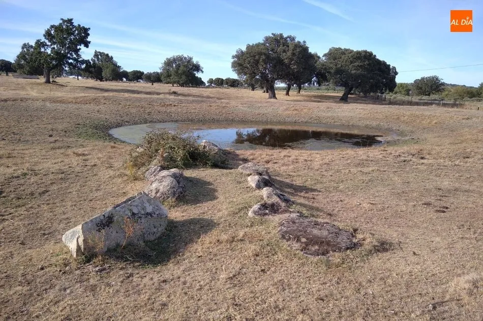 Foto 7 - &lsquo;Villavieja de Yeltes, de la Prehistoria a la Plena Edad Media&rsquo;, una importante aportaci&oacute;n a...