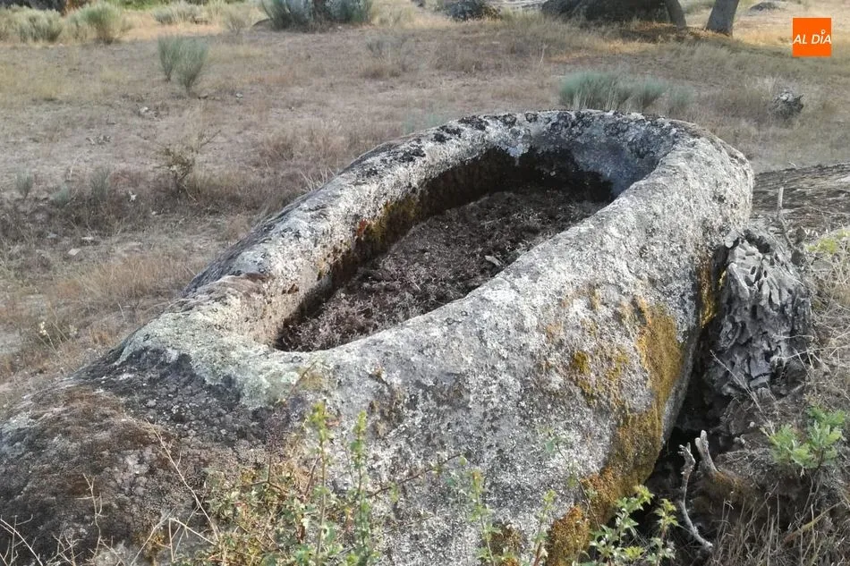 Foto 2 - &lsquo;Villavieja de Yeltes, de la Prehistoria a la Plena Edad Media&rsquo;, una importante aportaci&oacute;n a...