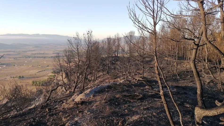 Imagen del incendio forestal en la Sierra de la Silla (Mula)