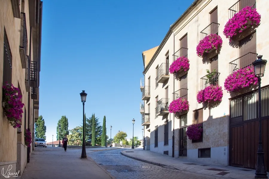 Flores para la esperanza