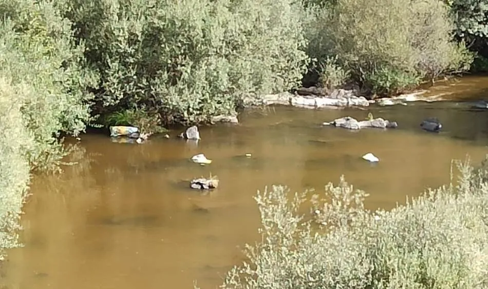 Foto 6 - Denuncian la aparici&oacute;n de varios sacos con enseres en el cauce del &Aacute;gueda  