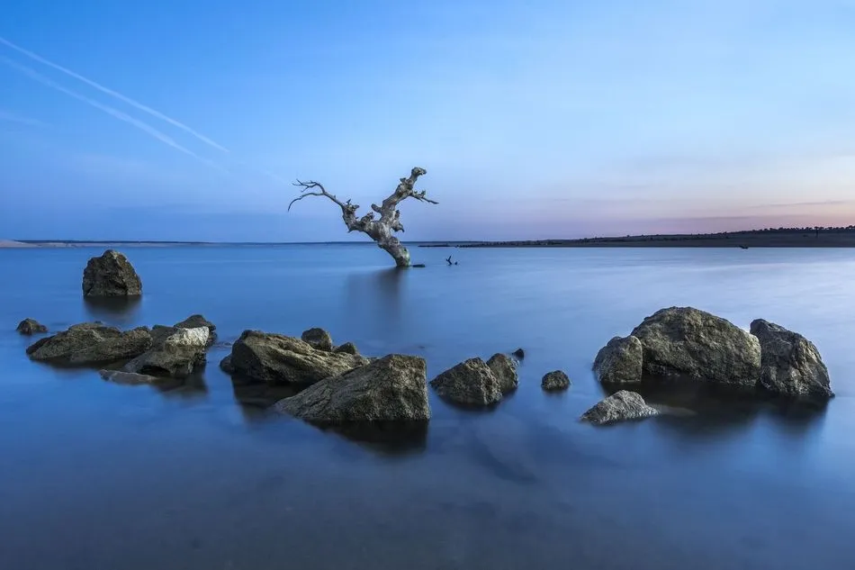 Foto 5 - Conoce los ganadores del concurso fotogr&aacute;fico &lsquo;El pantano y su entorno&rsquo;  