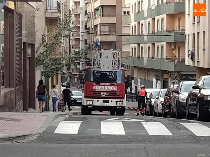 Foto 5 - La ca&iacute;da de una antena de tv moviliza a Bomberos y Polic&iacute;a Local en la calle Guatemala