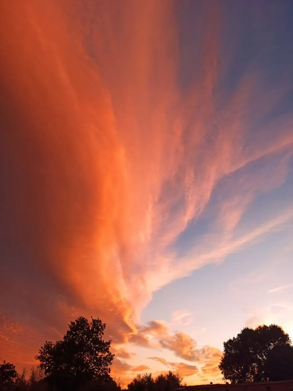 Atardecer en Olmedo de Camaces